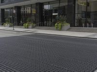 an empty sidewalk and sidewalking with plants in planters on the side and side