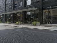 an empty sidewalk and sidewalking with plants in planters on the side and side