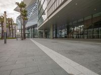 an empty sidewalk in front of an office building with palm trees in the foreground