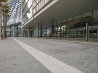 an empty sidewalk in front of an office building with palm trees in the foreground