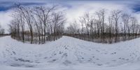 an empty snow bank filled with tracks and trees in the background on a cloudy day