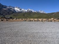 an empty stone field with snow capped mountains in the background on a clear day with a blue sky and some green bushes