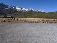 an empty stone field with snow capped mountains in the background on a clear day with a blue sky and some green bushes