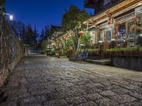 an empty stone street in an old chinese city at night with red lanterns and green trees in the background