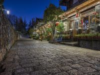 an empty stone street in an old chinese city at night with red lanterns and green trees in the background