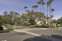 empty street with palm trees on either side of the road with residential buildings in the background