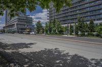 an empty street with a tree in the middle of it and some tall buildings in the background