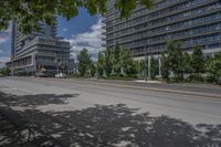 an empty street with a tree in the middle of it and some tall buildings in the background