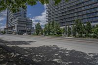 an empty street with a tree in the middle of it and some tall buildings in the background