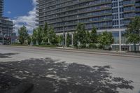 an empty street with a tree in the middle of it and some tall buildings in the background