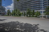 an empty street with a tree in the middle of it and some tall buildings in the background