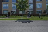 an empty street next to a residential building in canada, with tall windows, trees and flowers in front