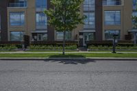 an empty street next to a residential building in canada, with tall windows, trees and flowers in front