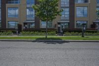 an empty street next to a residential building in canada, with tall windows, trees and flowers in front