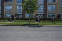 an empty street next to a residential building in canada, with tall windows, trees and flowers in front