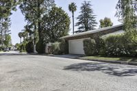 a street is empty with a stop sign on the corner near some palm trees and bushes