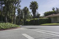 a street is empty with a stop sign on the corner near some palm trees and bushes