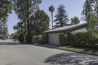 a street is empty with a stop sign on the corner near some palm trees and bushes