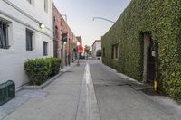 an empty street with a row of trees and bushes next to it on the right, on a sunny day