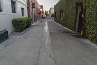 an empty street with a row of trees and bushes next to it on the right, on a sunny day