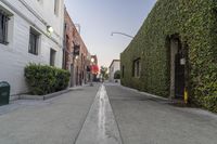 an empty street with a row of trees and bushes next to it on the right, on a sunny day