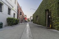 an empty street with a row of trees and bushes next to it on the right, on a sunny day