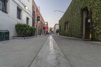 an empty street with a row of trees and bushes next to it on the right, on a sunny day