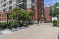 empty street in front of some buildings and green trees on side walk in front of street lamps