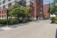 empty street in front of some buildings and green trees on side walk in front of street lamps