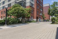 empty street in front of some buildings and green trees on side walk in front of street lamps