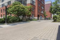 empty street in front of some buildings and green trees on side walk in front of street lamps