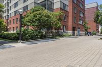 empty street in front of some buildings and green trees on side walk in front of street lamps