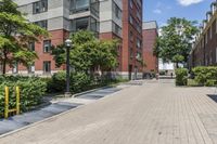 empty street in front of some buildings and green trees on side walk in front of street lamps