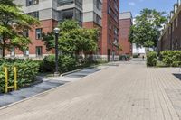 empty street in front of some buildings and green trees on side walk in front of street lamps