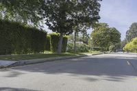 a empty street that leads into some homes with trees on either side of the street