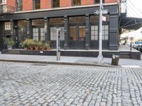 an empty street lined with plants and bushes on the sidewalk outside a building with many windows