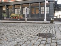 an empty street lined with plants and bushes on the sidewalk outside a building with many windows