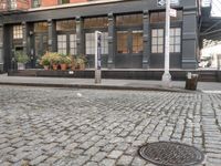 an empty street lined with plants and bushes on the sidewalk outside a building with many windows