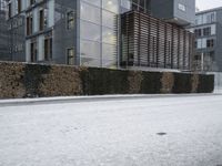 an empty street outside a large building and shrubbery wall with snow on the ground