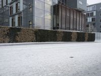 an empty street outside a large building and shrubbery wall with snow on the ground