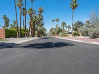 empty street with palm trees in the distance and no cars on the side of it