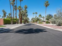 empty street with palm trees in the distance and no cars on the side of it