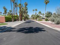 empty street with palm trees in the distance and no cars on the side of it