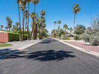 empty street with palm trees in the distance and no cars on the side of it