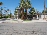 an empty street and palm trees line the sidewalk of palm springs, california, usa