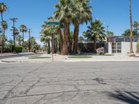 an empty street and palm trees line the sidewalk of palm springs, california, usa