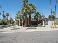 an empty street and palm trees line the sidewalk of palm springs, california, usa