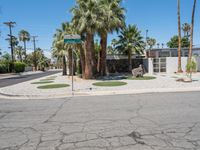 an empty street and palm trees line the sidewalk of palm springs, california, usa