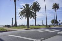 an empty street next to tall palm trees on a sunny day with the ocean in the background