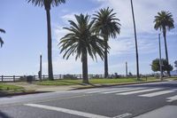 an empty street next to tall palm trees on a sunny day with the ocean in the background